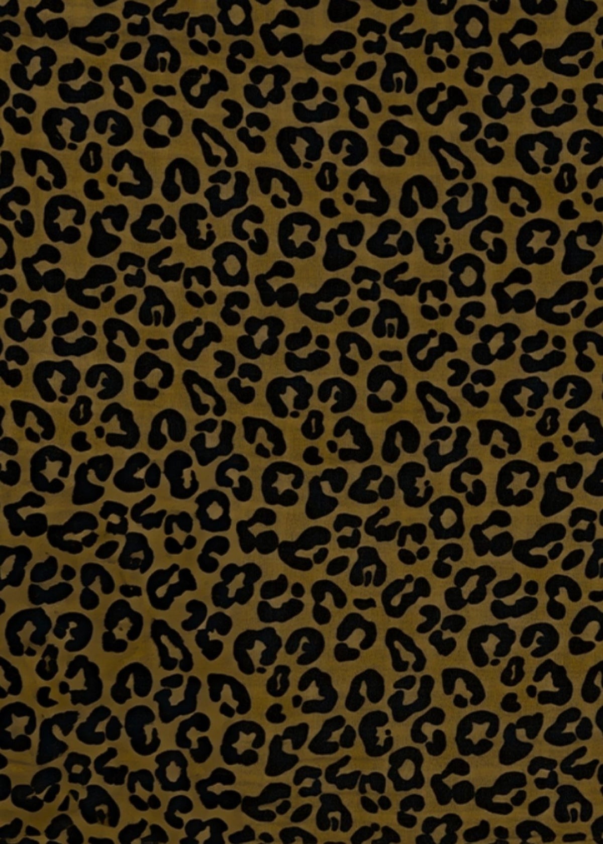 écharpe en mousseline BIANCA graou olive